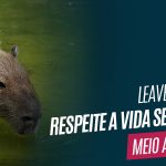 Leave no Trace – Respeite a vida selvagem
